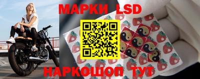 Альфа ПВП Моздок