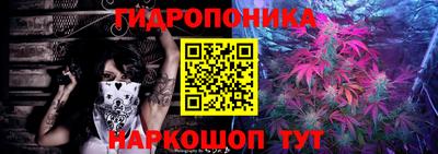 apvp Можга