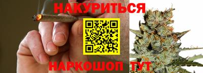 Альфа ПВП Моздок