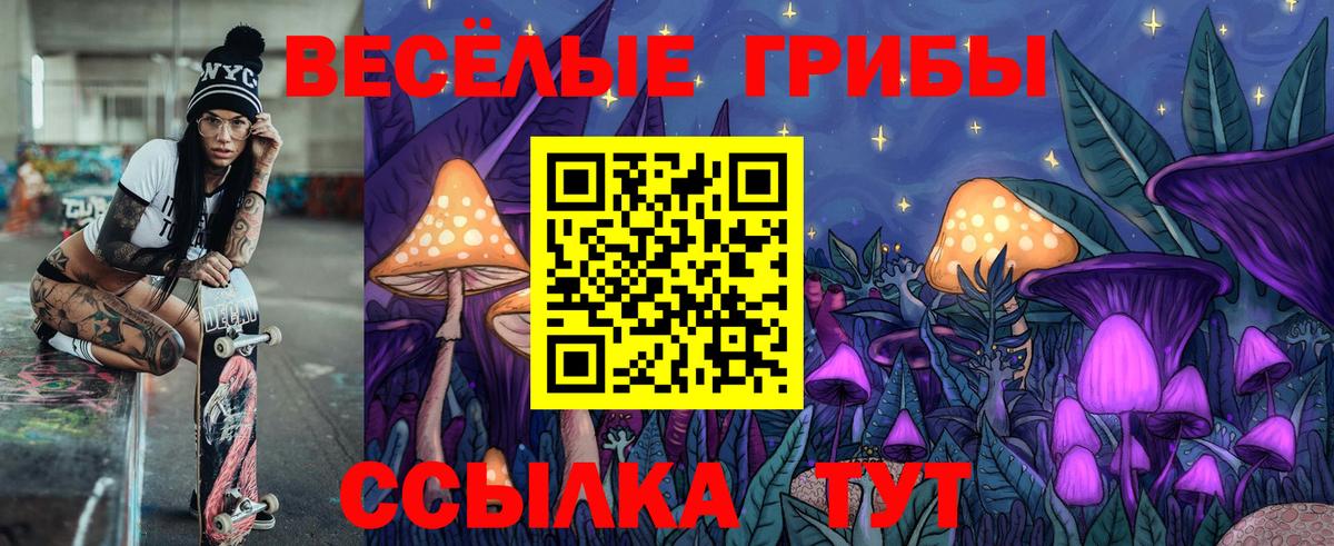 Псилоцибиновые грибы MAGIC MUSHROOMS  Вход с VPN  Галлюциногенные грибы мухоморы  Серов 